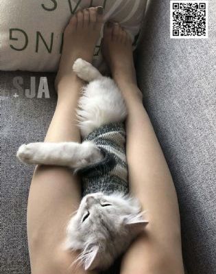 91精品视频一区二区-百度云播国产在线观看